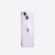 PLPL_iPhone14_Purple_PDP_Image_Position-2.jpg