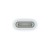 Adapter Apple USB-C na Pencil
