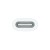 Adapter Apple USB-C na Pencil