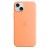Etui Apple iPhone 15 Plus Silicone Case with MagSafe - Orange Sorbet (pomarańczowy sorbet)
