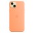 Etui Apple iPhone 15 Plus Silicone Case with MagSafe - Orange Sorbet (pomarańczowy sorbet)