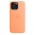 Etui Apple iPhone 15 Pro Max Silicone Case with MagSafe - Orange Sorbet (pomarańczowy sorbet)