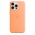 Etui Apple iPhone 15 Pro Max Silicone Case with MagSafe - Orange Sorbet (pomarańczowy sorbet)