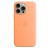 Etui Apple iPhone 15 Pro Max Silicone Case with MagSafe - Orange Sorbet (pomarańczowy sorbet)