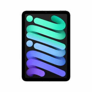 Tablet Apple iPad mini 8.3" 2024 Wi-Fi + Cellular 512GB (gwiezdna szarość)