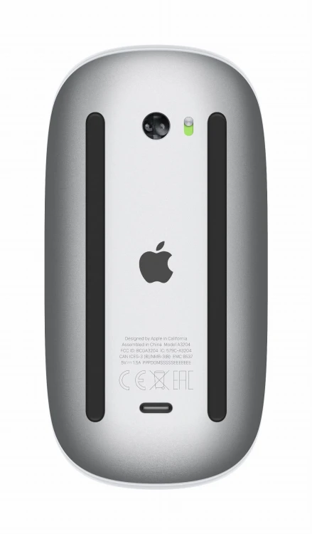 Apple Wireless Magic Mouse