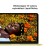 MacBook_13-in_A18_Pro_Citrus_PDP_Image_Position_5__pl-PL.jpg