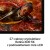 Studio_Display_XDR_PDP_Image_Position_3__pl_PL.jpg